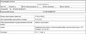 Глава Роспотребнадзора Башкетова может прятать имущество на 75 млн рублей