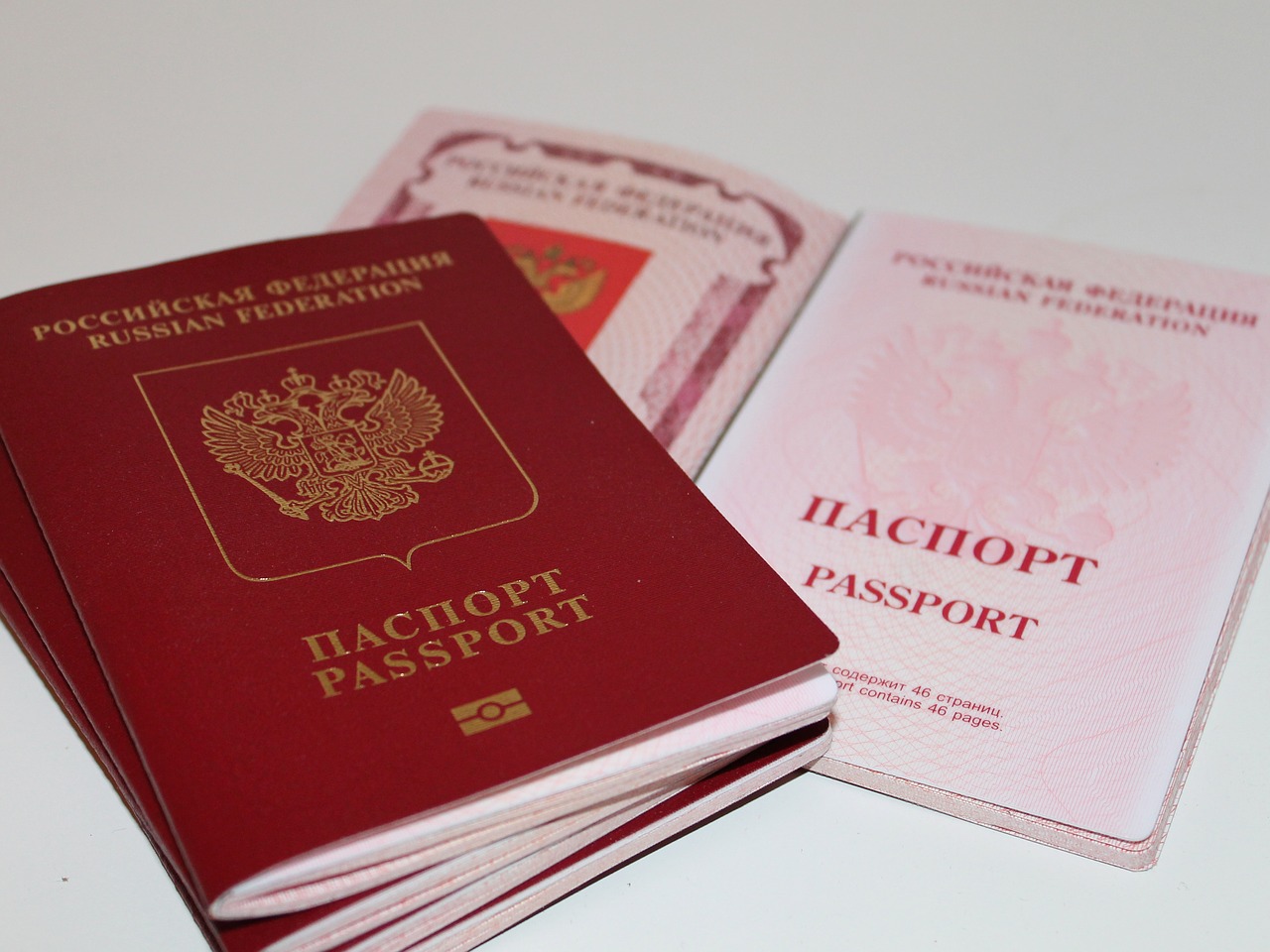 паспорт, регистрация