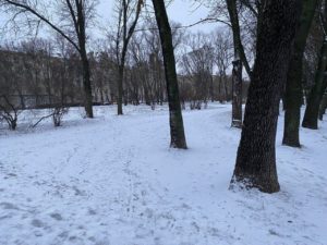 Сам растает: власти Петербурга решили не выводить снегоуборочную технику на улицы