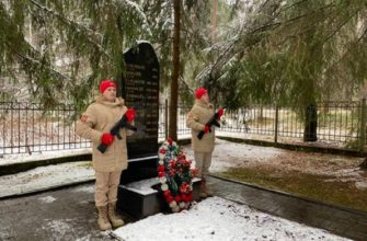 Вахта памяти, волонтеры