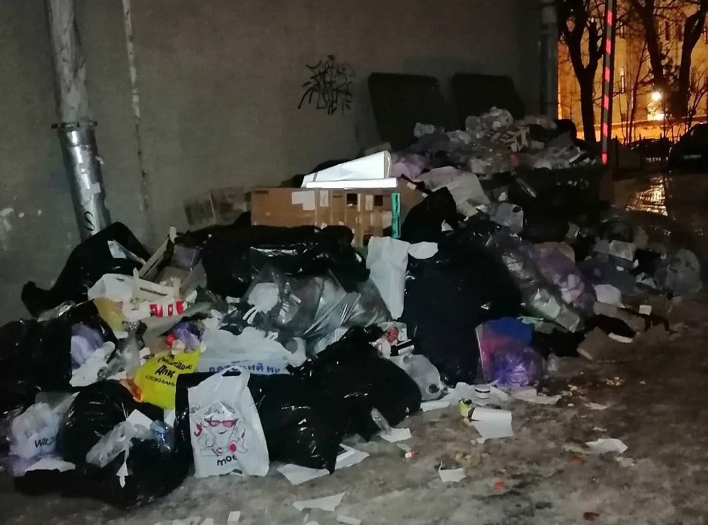 На мусорных площадках в центре Петербурга заметили крыс
