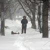зима, снег, сугробы, снегопад