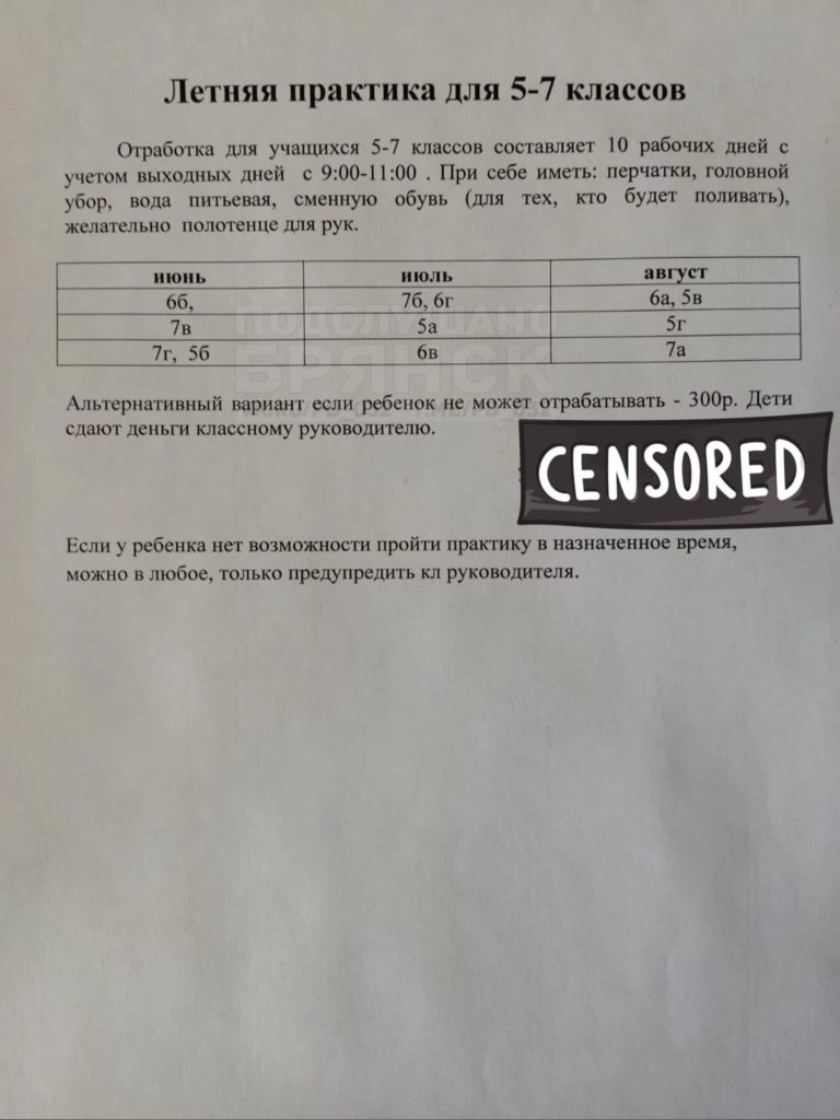 Родителям брянских школьников предложили заплатить за отказ от прохождения летней практики 300 рублей