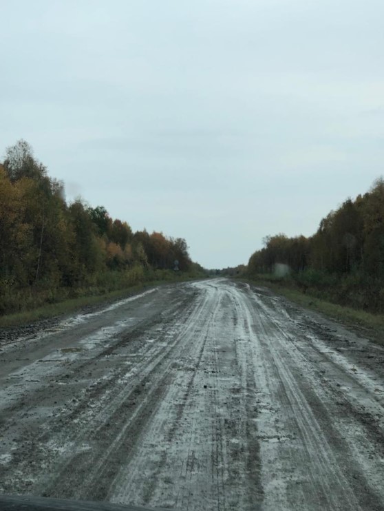 Проект «Зерно Сибири»: инвестиционный прорыв и начало конца