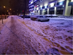 Смольный не вывел на улицы Петербурга спецтехнику после ночного снегопада