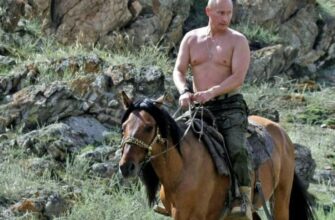 Путин на коне