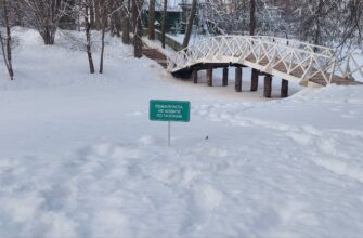 зима, погода, природа