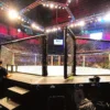 октагон, MMA