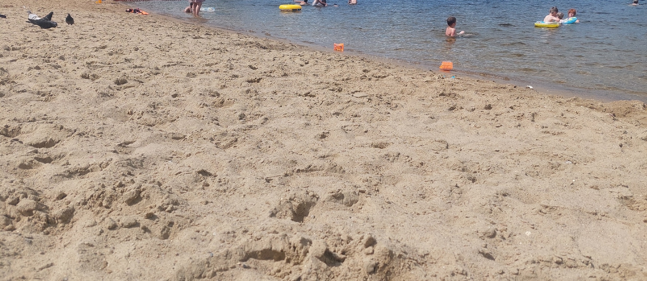 туризм, Россия, пляж, отдых, водоем, море